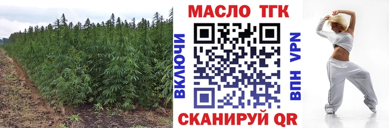 закладка  Абдулино  ТГК Wax 